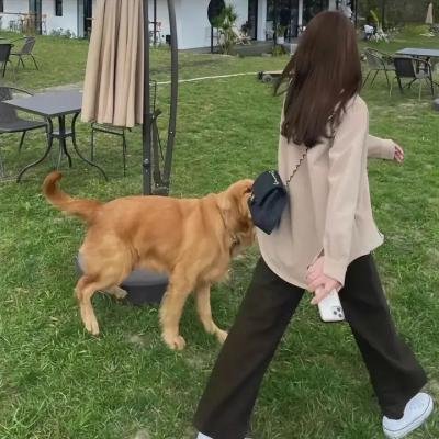 我爱灰太狼